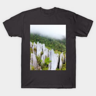 Limestone pinnacles at gunung mulu national park T-Shirt